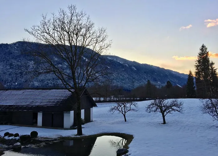 Assingerhof דירה סנט סטפן אן דר גאיל